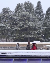 开云官网-连下两天“鹅毛大雪”之后，北京未来一周还有雪吗？