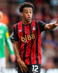 开云App-曼联引援新目标曝光！锁定4000万英超中场，接班卡塞米罗|亚当斯|伯恩茅斯|美国|亚当·安德森|梅努_新浪体育_新浪新闻