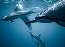 九游体育：让热爱更热烈的体育娱乐平台